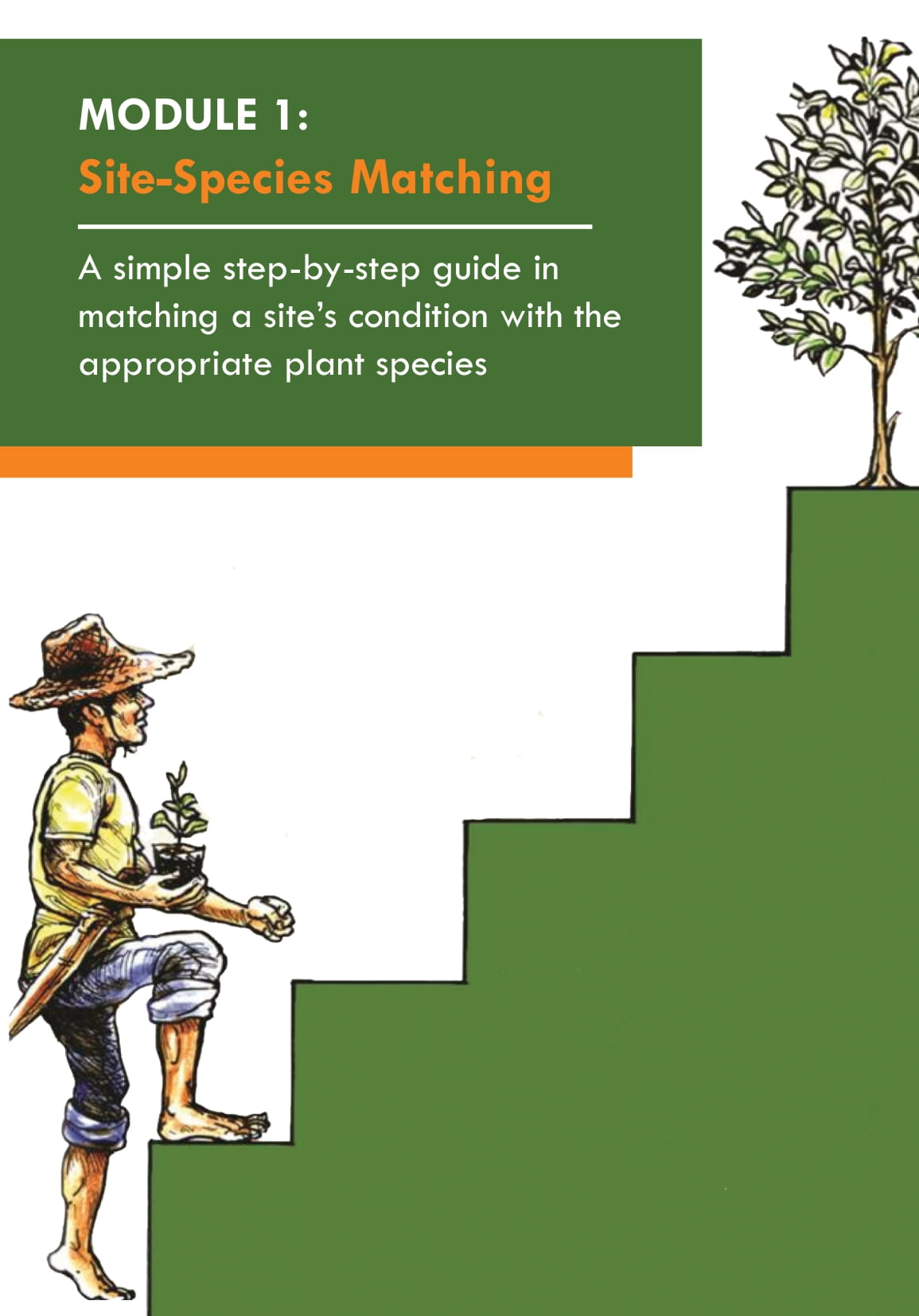 Copy of Copy of 2016 Forest Restoration Manual - Module 1 Site Species Matching-02