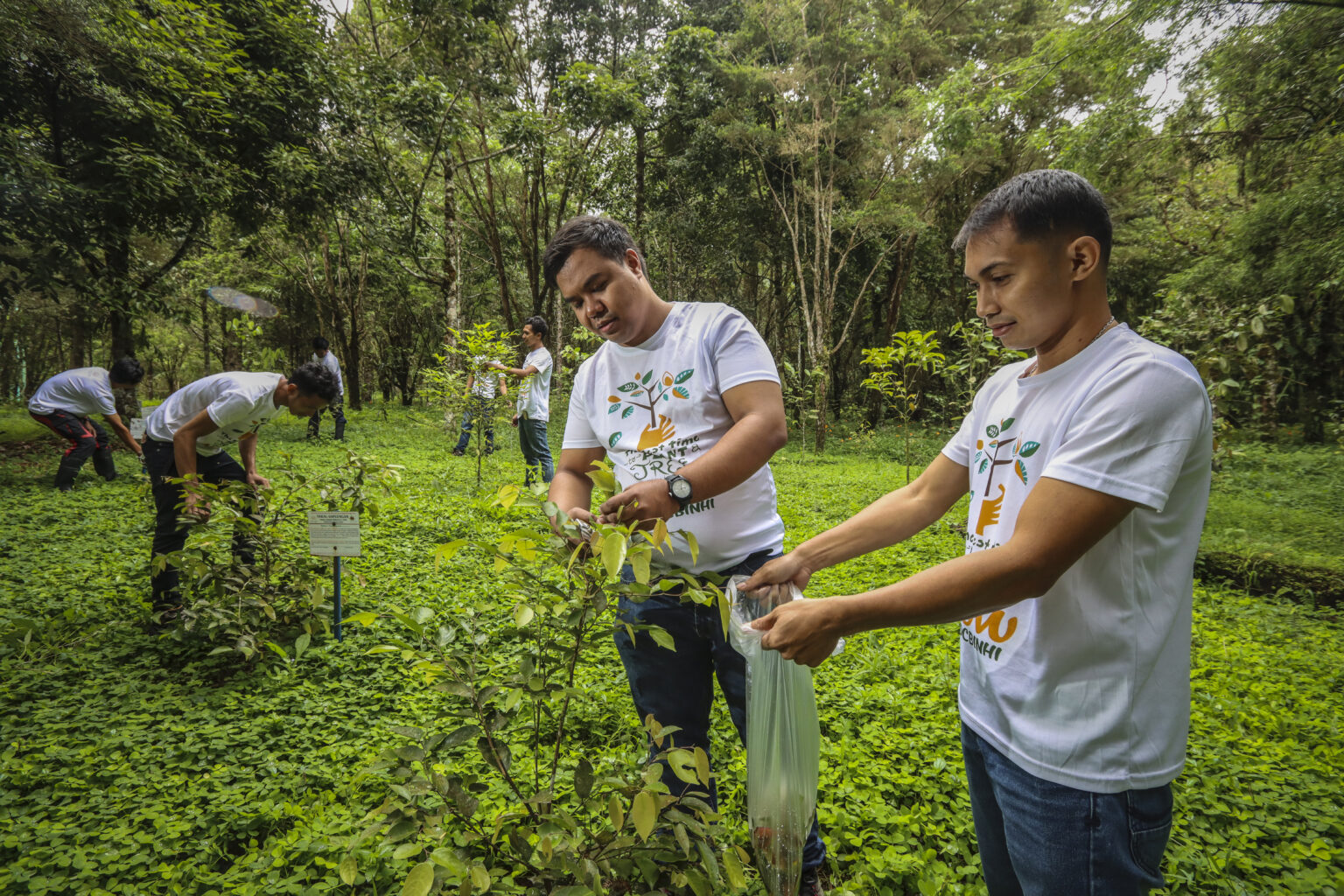 Forest Restoration - BINHI