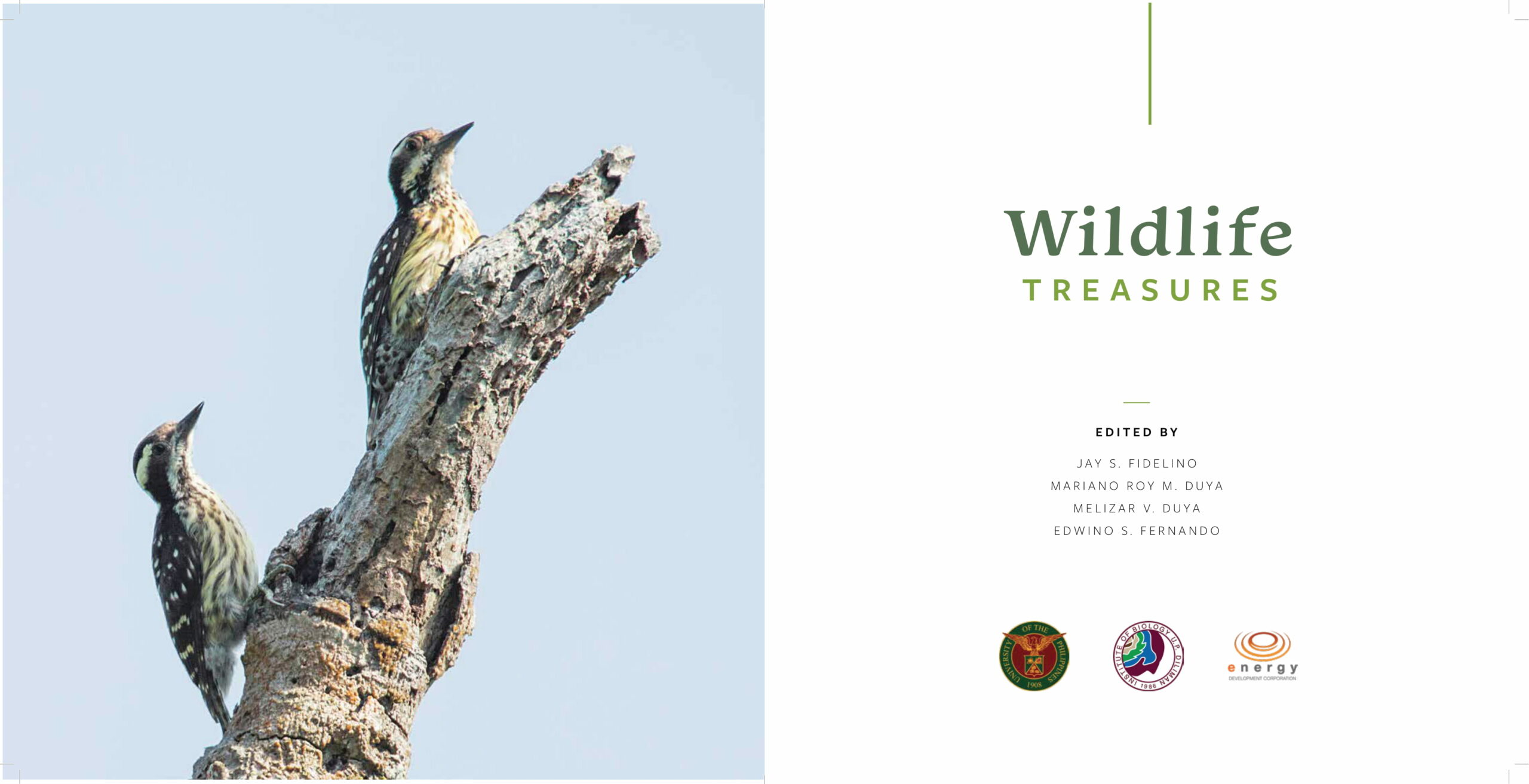 Wildlife-Treasures-Print-File-100119-1330 (1)-004